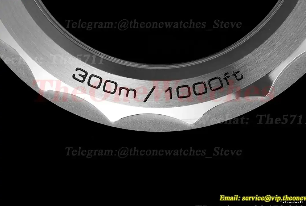 Asia SS ORF 300m Seamaster 2018 Black SS 8800 0429